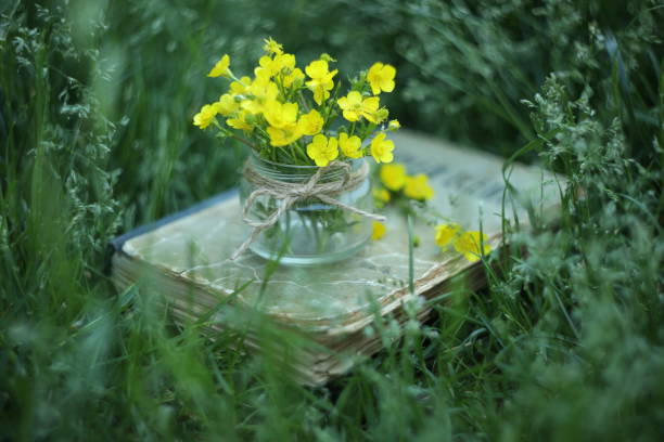 istock Still life with yellow flowers 1459776020