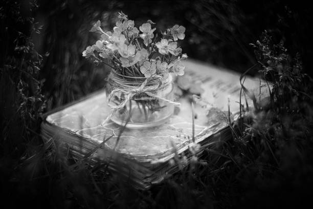 istock Still life in black and white 1459781171
