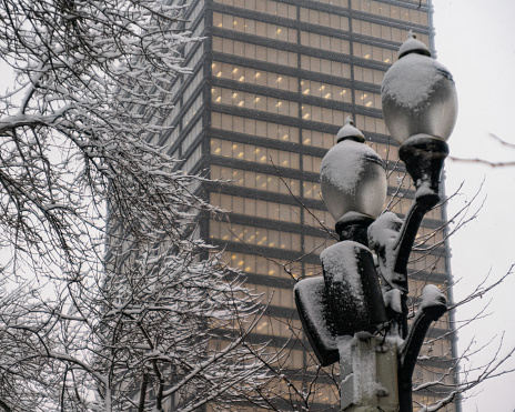 Hamilton, Ontario - Snow-covered Streetlight with a Building in the background