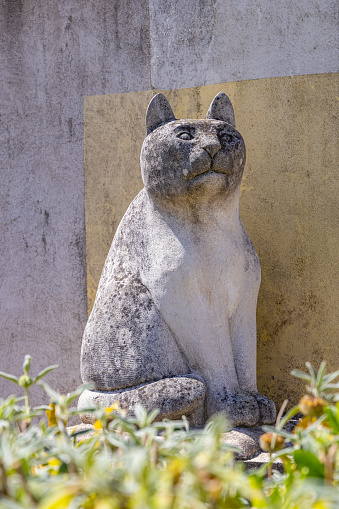 Saintes-Maries-de-la-Mer, Bouches-du-Rhône, Provence-Alpes-Cote d'Azur, France. July 3, 2022. Stone garden statue of a cat in Provence.