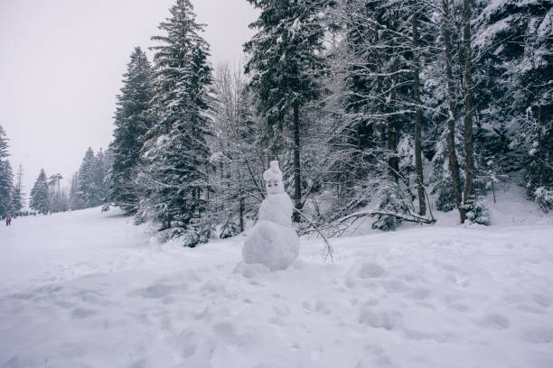 istock Snowman in the mountain forests among the trees 1459788850