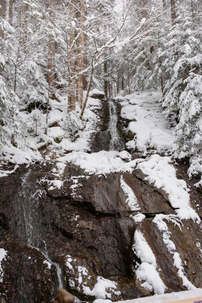 istock Snow covered river and waterfall with mountains in winter 1459789054
