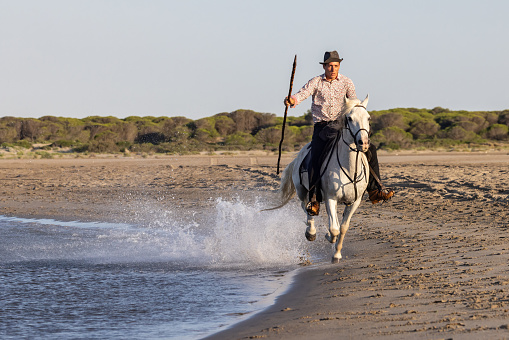Saintes-Maries-de-la-Mer, Bouches-du-Rhône, Provence-Alpes-Cote d'Azur, France. July 5, 2022. Man riding a horse through the water in the Camargue.