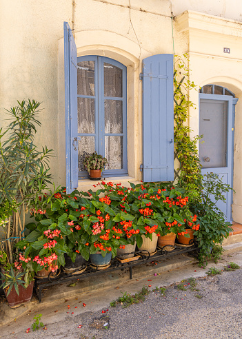 Arles, Bouches-du-Rhône, Provence-Alpes-Cote d'Azur, France. July 5, 2022. Flower pots in front of a blue shuttered window.