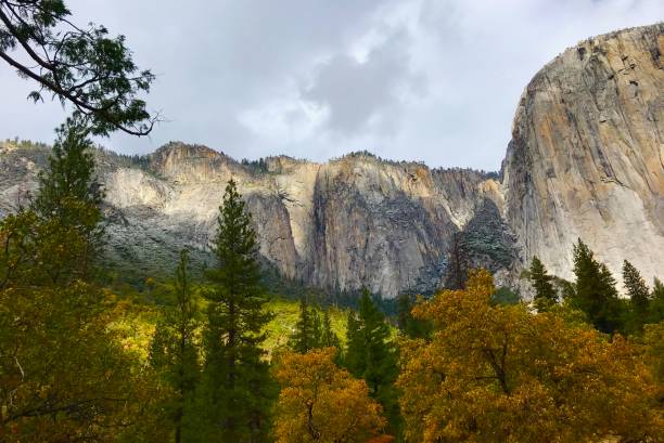 istock Yosemite National Park 1459793781