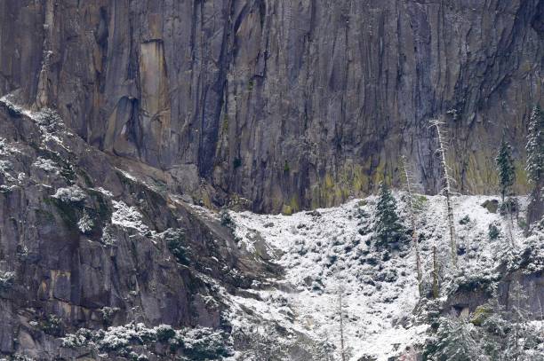 istock Yosemite National Park 1459794618