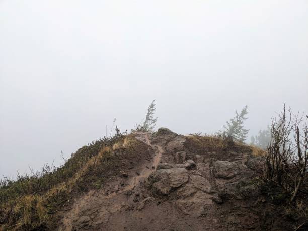Overhead view over the precipice of a sparsely foliage cliff into white emptiness due to fog. Taken on Cape Horn Loop Hike, a wide-ranging hike along the Columbia River Gorge outside Vancouver, Washington.