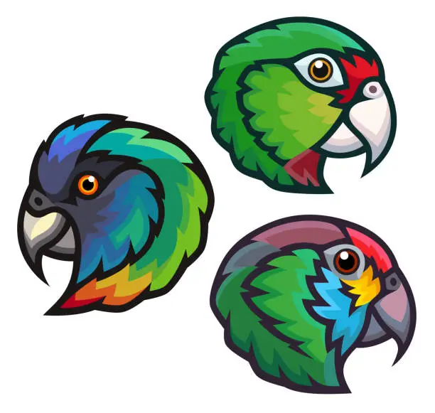 Vector illustration of Stylized Birds - Parrots