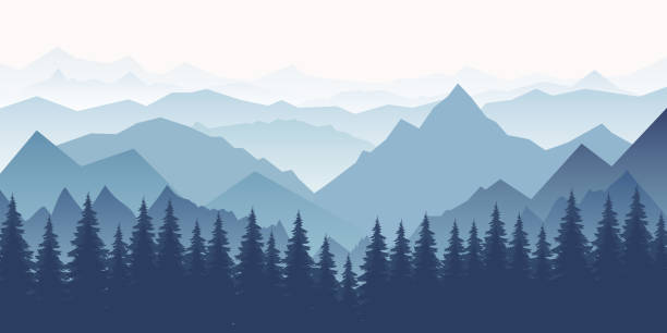 illustrazioni stock, clip art, cartoni animati e icone di tendenza di paesaggio montano orizzontale con alberi. vista panoramica di creste e foresta nella nebbia, illustrazione vettoriale. - alberato