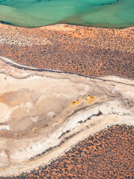 istock Aerial abstract of coastline 1459814706