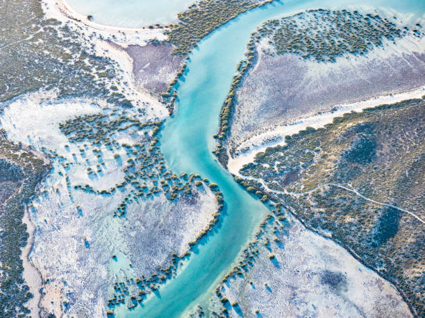 istock Abstract aerial of coastline 1459814733