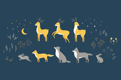 Vector set of forest animals and branches in winter. Deer, fox, wolf, hare