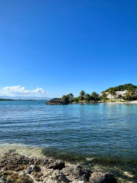 istock French west indies landscape 1459818155