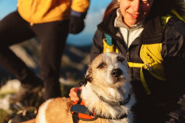 istock people hiking in the mountains 1459821935