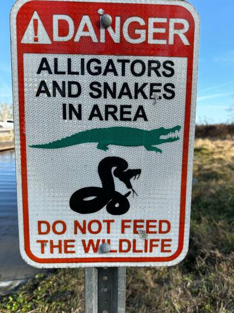 istock Alligators and anomales sign 1459826492