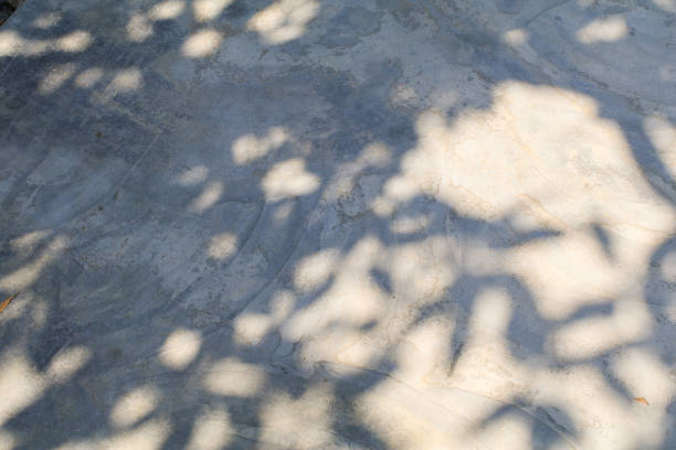 Tree leave shadow on street concrete floor background. Abstract background for product presentation. Sunshade shadow