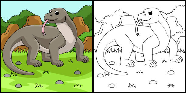 Komodo Dragon Animal Coloring Page Illustration This coloring page shows a Komodo Dragon Animal. One side of this illustration is colored and serves as an inspiration for children. komodo dragon drawing stock illustrations