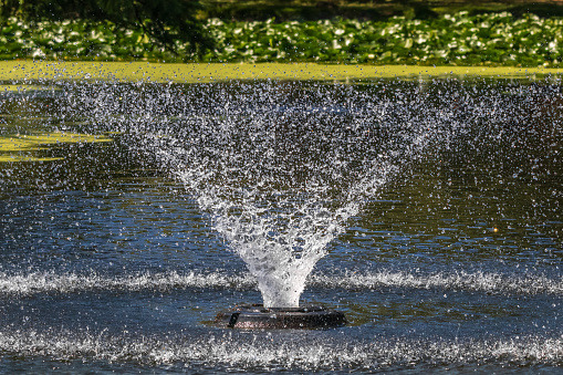 Fountain in the green park  background