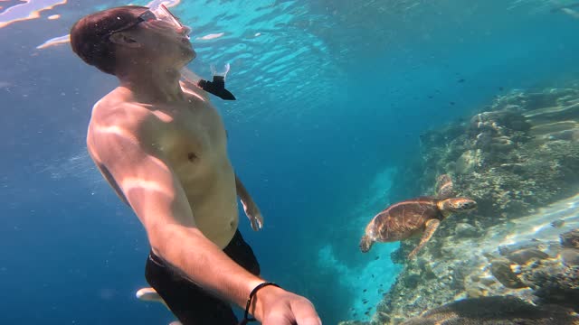 A brown-haired man in a red snorkel mask swims underwater next to a sea turtle and coral reefs. The man spends his best weekend in the Bahamas diving underwater and exploring seabed. Turtle and diver.