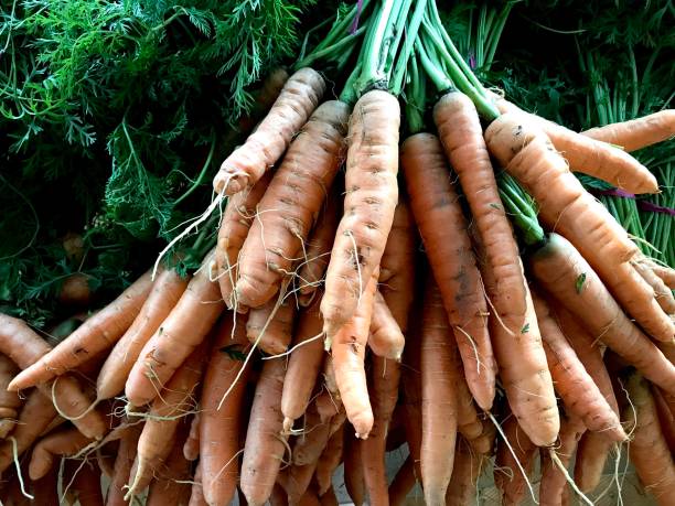 Carrot Cenouras orgânicas vendidas na feira em Porto Alegre, capital do RS, no sul do Brasil. carotene stock pictures, royalty-free photos & images