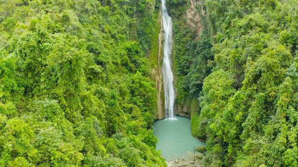 istock Beautiful tropical waterfall Philippines, Cebu 1459850098