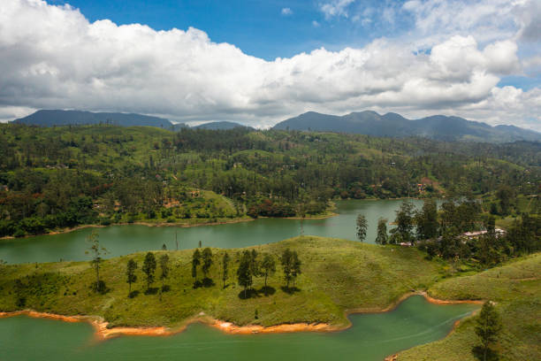 istock Lake among mountains and tea plantations. 1459851350