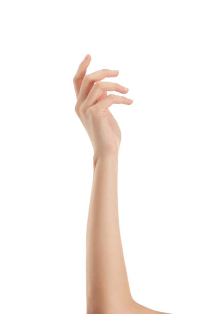 istock Beautiful Woman Hand Holding Isolated On White Background 1459853055