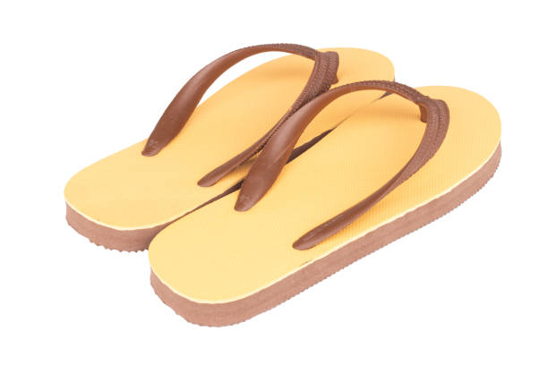 istock sandals  flip flops color brown isolated on white background 1459853837