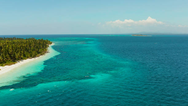 istock Tropical island with sandy beach. Balabac, Palawan, Philippines. 1459854877