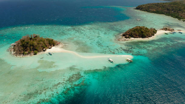 istock Small torpic island with a white sandy beach, top view. 1459855217