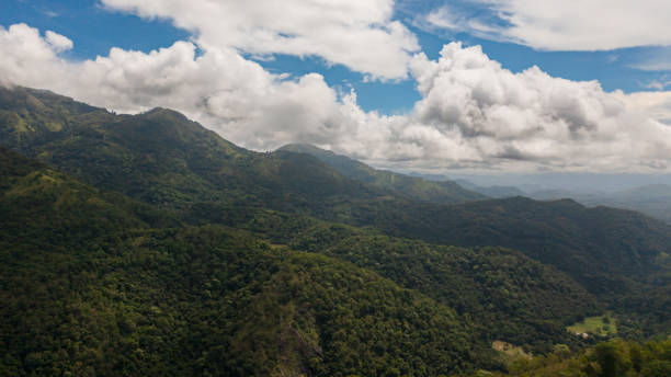 istock Tropical landscape with mountains and jungle in Sri Lanka. 1459855882