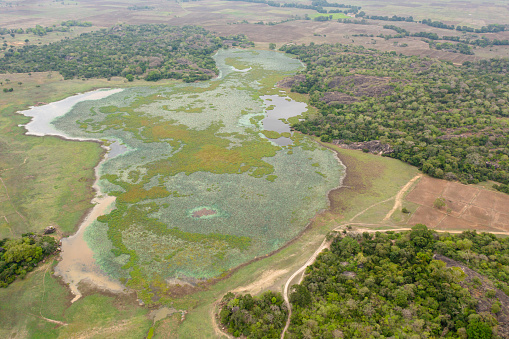 Aerial view of Lakes and swamps in the national park of Sri Lanka.