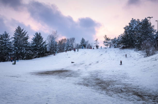 malden park - scena invernale - malden foto e immagini stock
