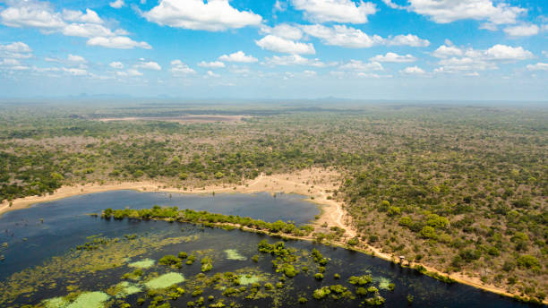istock Kumana National Park, Sri Lanka. 1459857784