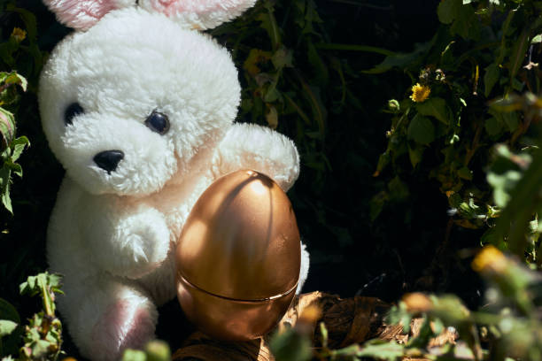 istock Easter bunny concept, embracing a golden egg with space for text on the right side of the composition 1459858822