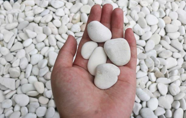 istock Hand holding white pebbles against a rock background 1459858948