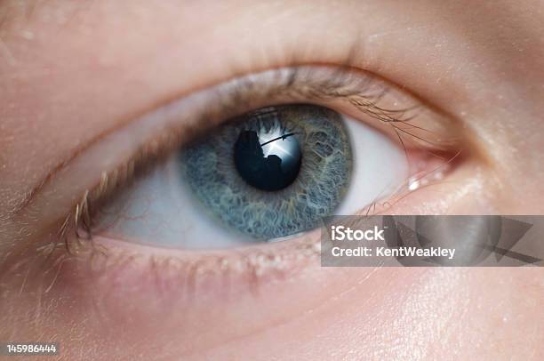 Foto de Garoto Olhos De Macro Closeup e mais fotos de stock de Azul - Azul, Cabeça Humana, Capilar - Vaso sanguíneo