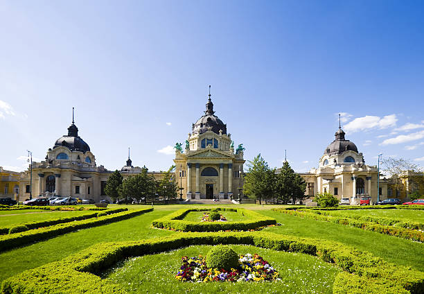 istock Vast expanse of greenery in a Budapest garden 145987182
