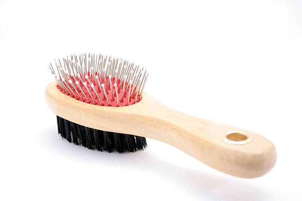Close-up of two-sided pet grooming brush Grooming brush for cats and dogs Two-sided Dog Comb Hair Removal Brush stock pictures, royalty-free photos & images