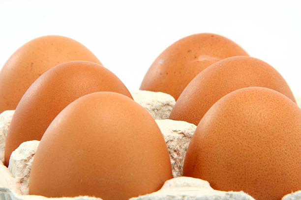 isolierte eiern - cholesterol ellipse shell box stock-fotos und bilder