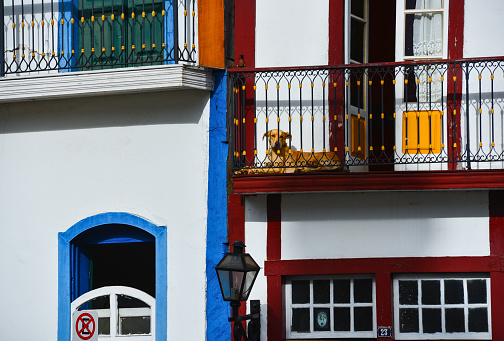 A dog sunbathing on a balcony in the historic district of World Heritage-listed Ouro Preto town, Minas Gerais state, Brazil