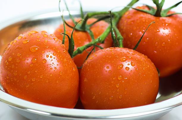 Fresh tomatoes stock photo