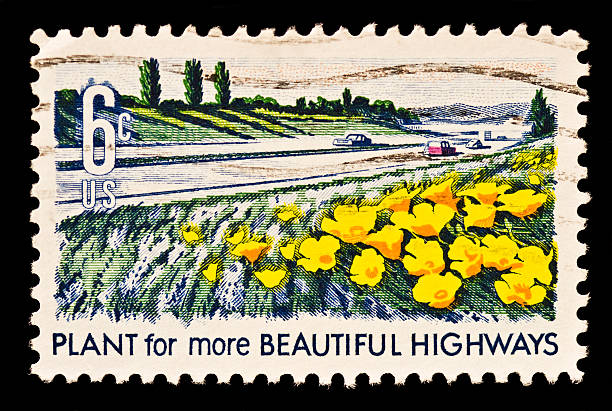 istock Buautification of America Issue. Beautiful Highways 145987550