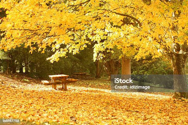 Autumn Листья — стоковые фотографии и другие картинки Ветвь - часть растения - Ветвь - часть растения, Витать в облаках, Время года