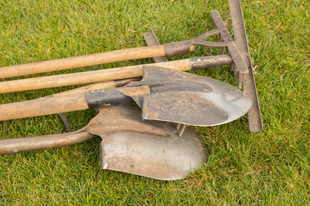 istock shovel and rake lie on green grass close up 1459878922