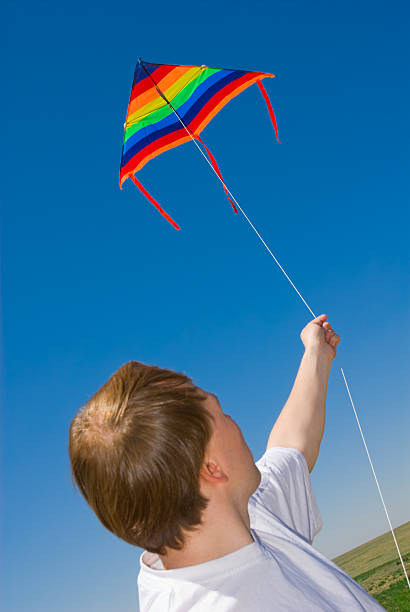 istock Man with a kite in the sky 145987933