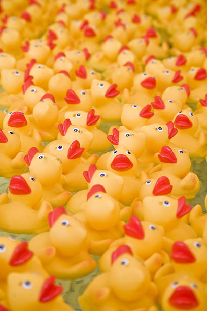 istock Lots of Rubber Ducks 145988011