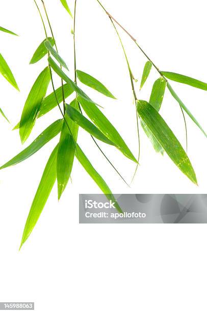 Bambooleaves Stock Photo - Download Image Now - Asia, Bamboo Shoot, Branch - Plant Part