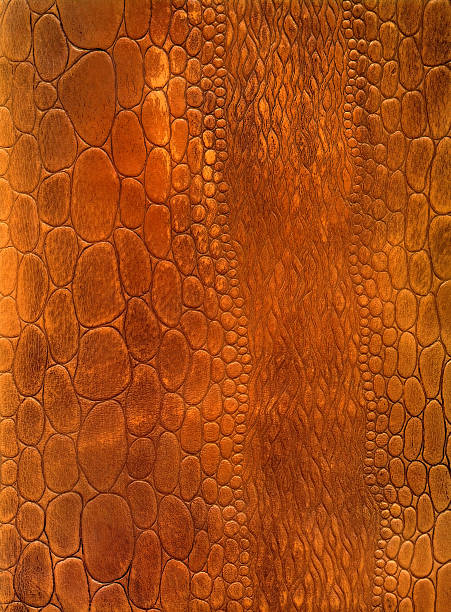 istock Brown reptile leather texture to background 145988064