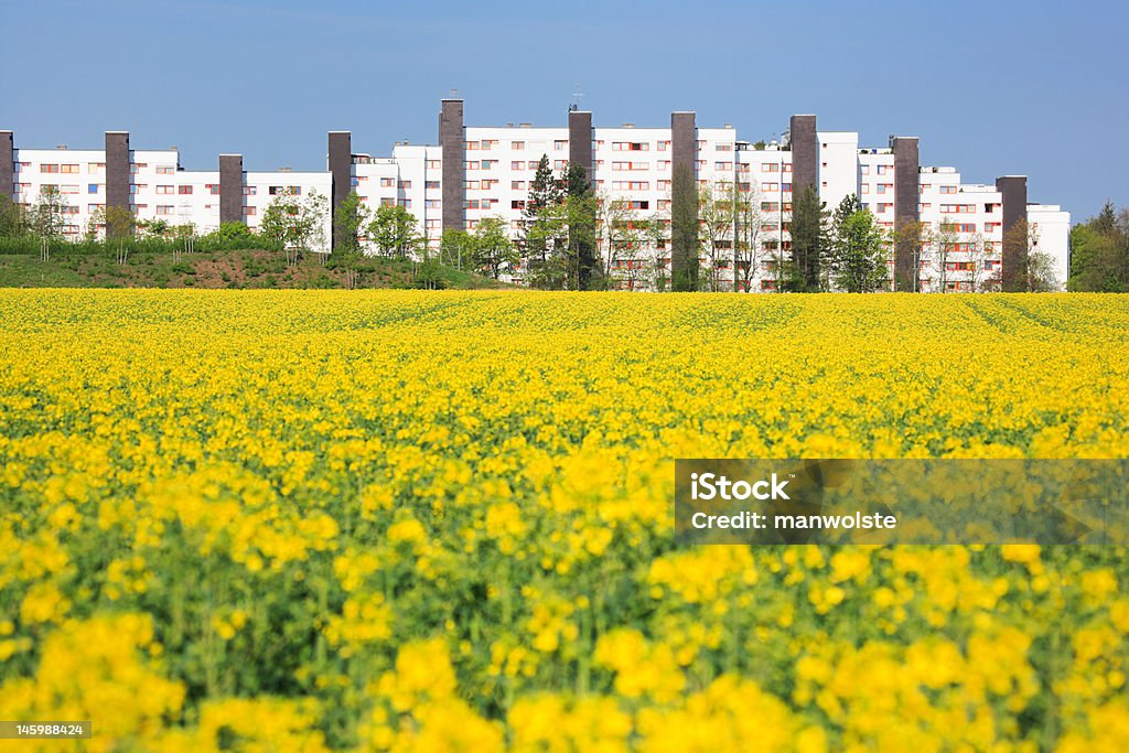 Городской Весна - Стоковые фото Лето роялти-фри